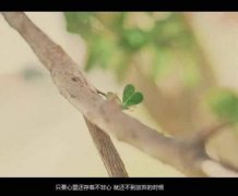 分手后给男友发短信(精选30句