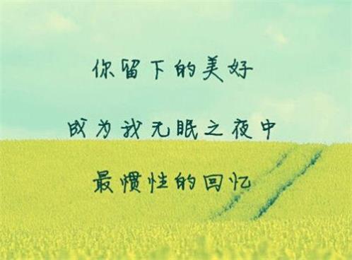 情人节句子浪漫语录(精选30句)