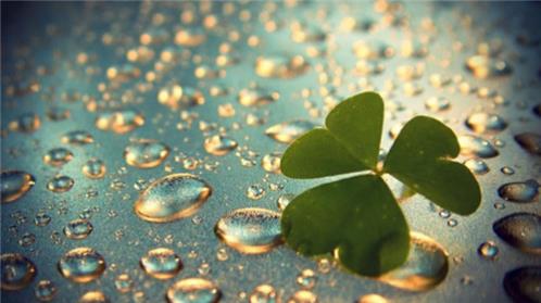 适合下雨天发的朋友圈 下雨了抒发心情的说说(精选36句)