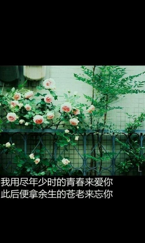 2023抖音说说端午节