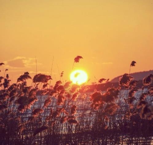 除夕祝福语(精选21句)