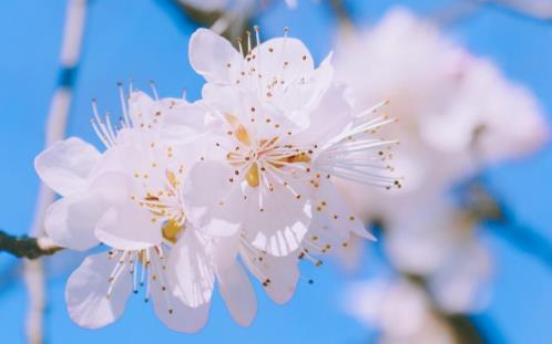 寒露节谚语(精选35句)