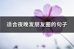 适合夜晚发朋友圈的句子(精选