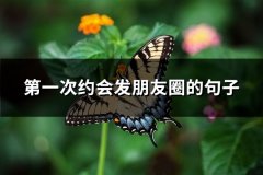 第一次约会发朋友圈的句子(精