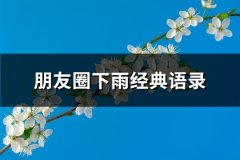 朋友圈下雨经典语录(精选49句