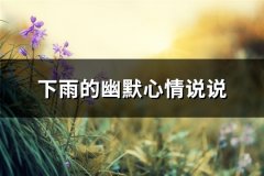 下雨的幽默心情说说(精选30句