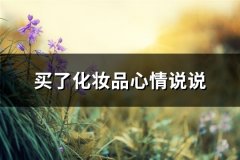 买了化妆品心情说说(精选22句