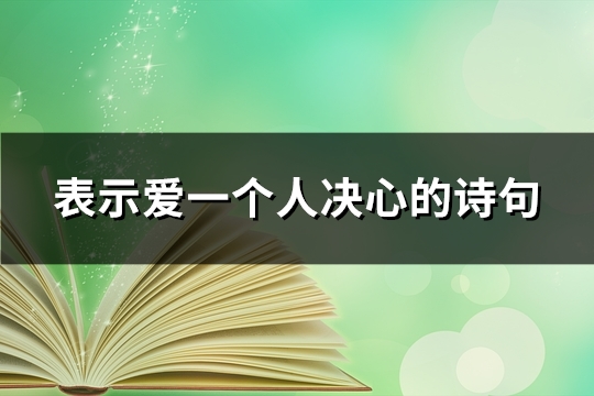 表示爱一个人决心的诗(精选25句)