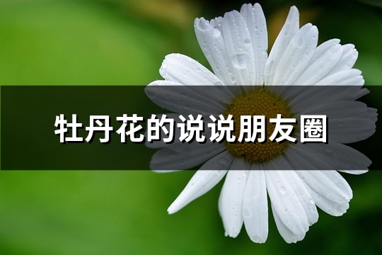 牡丹花的说说朋友圈(精选69句)