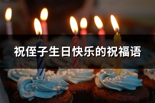 祝侄子生日快乐的祝福语(精选51句)