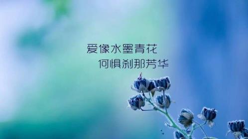 排比句写段落：思念如涓涓的流水…(精选24句)