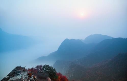 厌倦造句：遮蔽我们黑暗的心(精选21句)