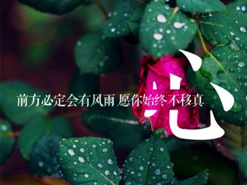 闺蜜结婚祝福语简短(精选18句)