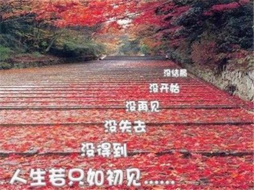 不光而且造句：不光会节约数百亿的电费…(精选29句)