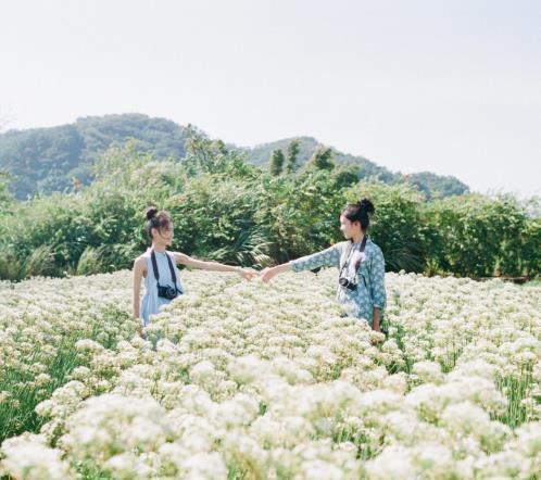 朋友旅游祝福语：让它伴你旅途愉快平安快乐逍(精选36句)