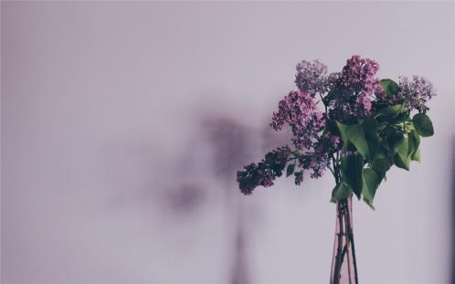 祝闺蜜生日快乐的长篇说说(精选14句)