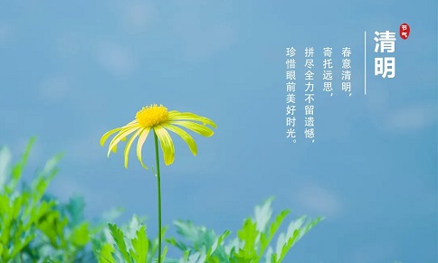 清明节思念故人的文案(精选22句)