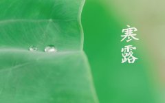 寒露节气海报借势文案短句(精