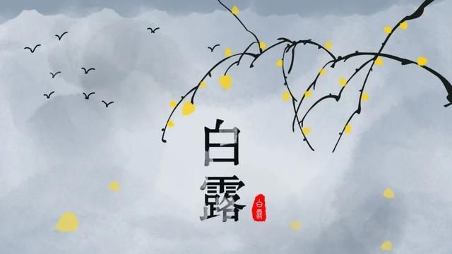 适合白露时节发的文案(精选31句)