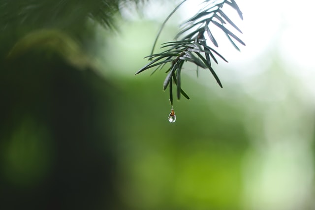 100个雨水节气文案句子