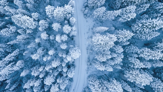 大雪节气祝福语录(精选22句)