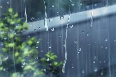 雨水暖心祝福语 雨水节气问候句子(精选41句)