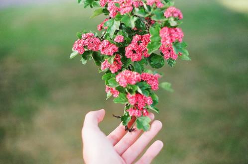 2024春节同学祝福语 送给同学的春节祝福语