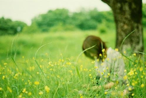 泡芙小姐语录图片(精选54句)