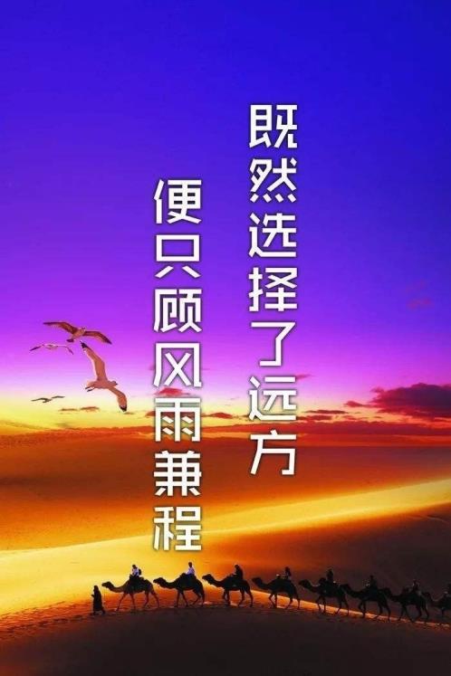 给大四的毕业祝福语：愿你一步步走下去…(精选36句)