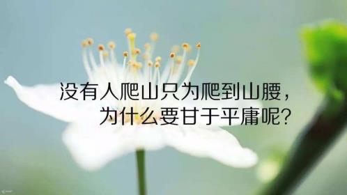 鼓励努力奋斗的名言 (精选14句)