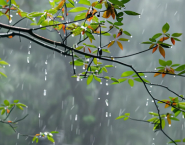 关于下雨天治愈可爱的文案 下雨天意境很美的简(精选22句)