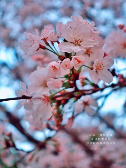 伤感文案表达心情 秋雨的句子心情文案(精选27句)